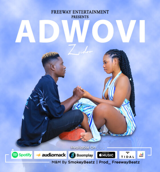 Listen: Zidor - Adwovi (Prod By Freewaybeatz, M&M SmokeyBeatz)